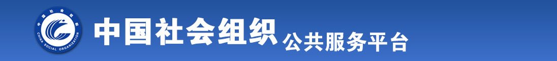 操我骚逼精品网站全国社会组织信息查询